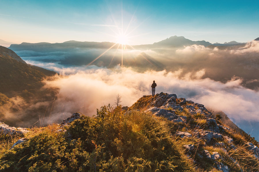 AdobeStock 258201818