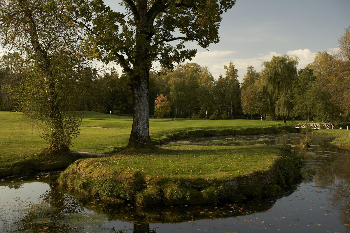 Altentann Gruen18