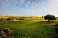 5 Hole No. 13 Green