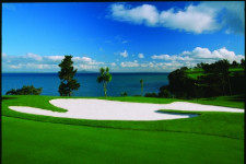gulf harbor c