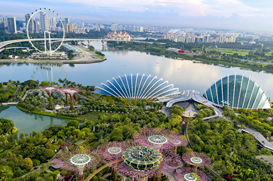 Gardens by the Bay4