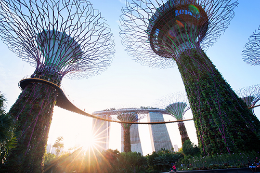Supertrees