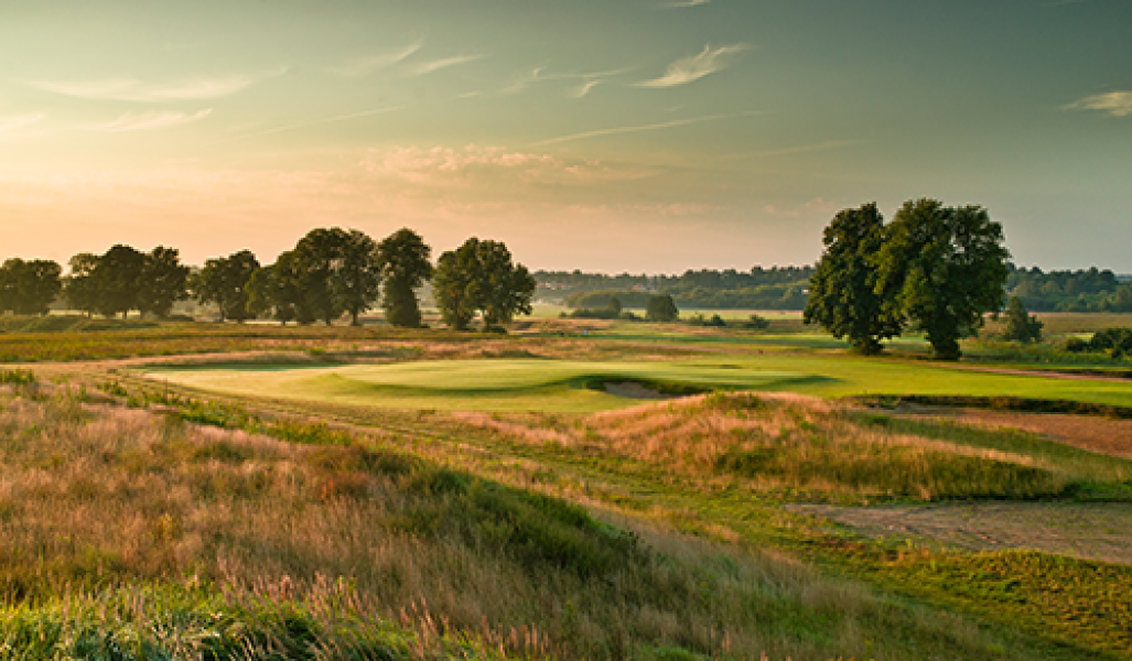 hole 11 DSC3125