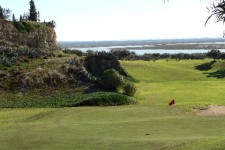 flamingo golf