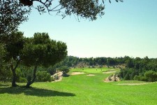 golf citrus