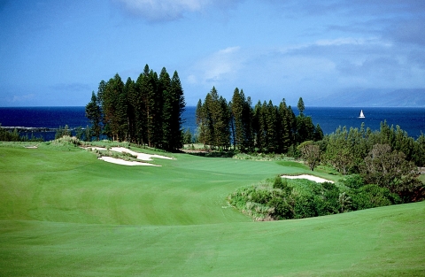 Plantation Course1