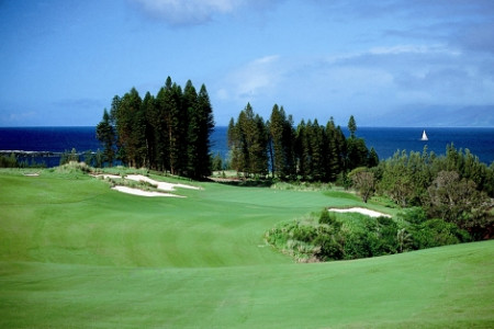 Plantation Course1