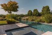 katsey 3891 kramer und kramer gartenkatsey