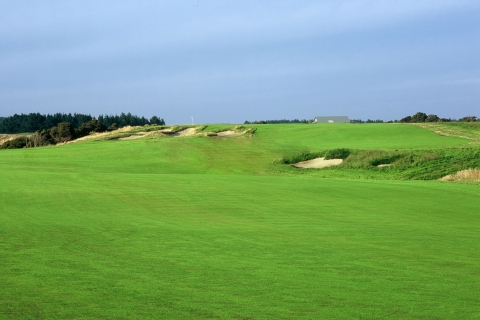 Cape Kidnappers13
