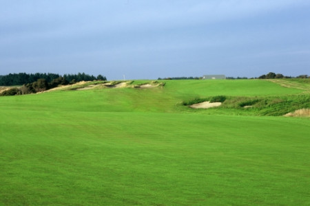 Cape Kidnappers13