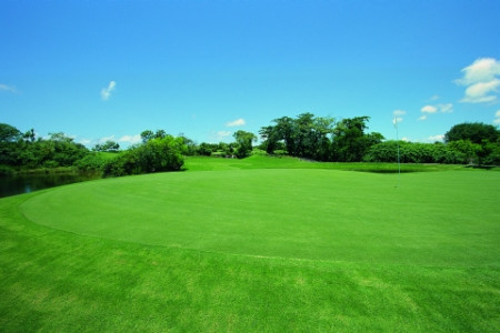 BMPJBAlinkgolf 01