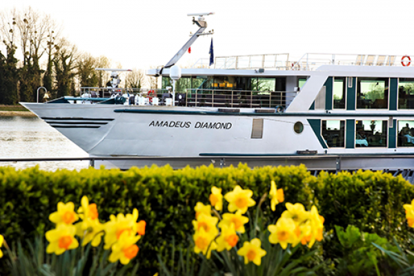 1 AMADEUS Diamond