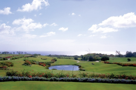 Sandy Lane14
