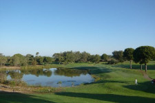 tat golf 1