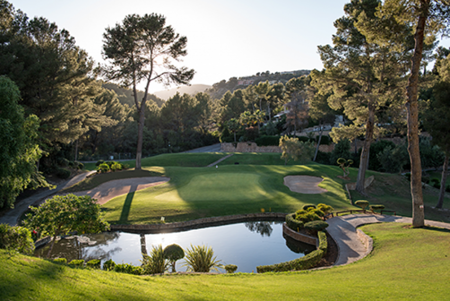 ARABELLA GOLF SON VIDA