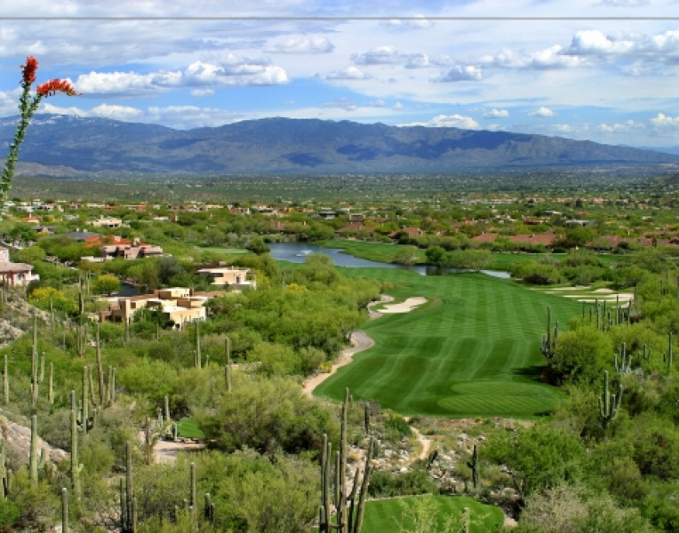 Golf Signature