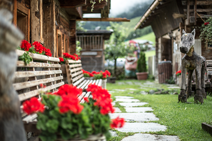 CS 20150729 unterschwarzach sommer 82