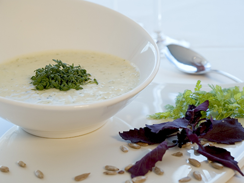 FX Mayr Health Center Suppe