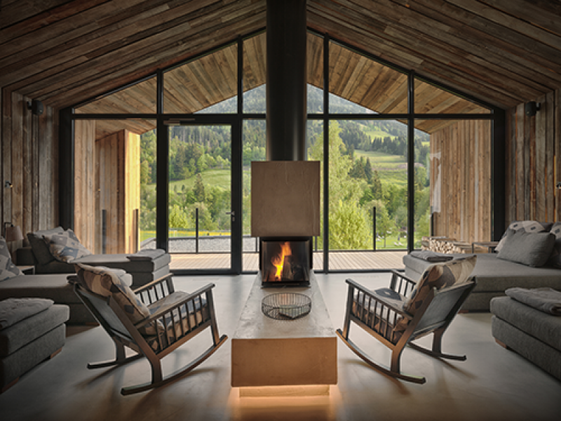 LOEWENZAHM fhg A6022212 hdr 3000px