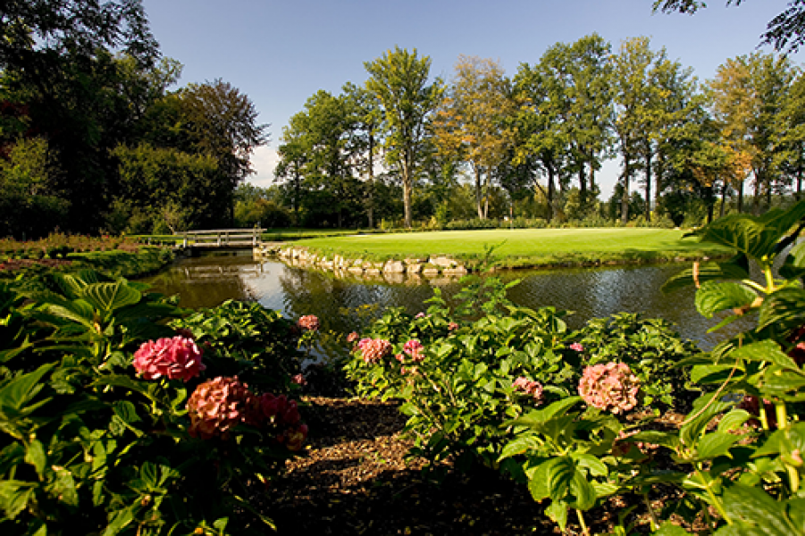 6 Frauenthal im Hortensienrausch