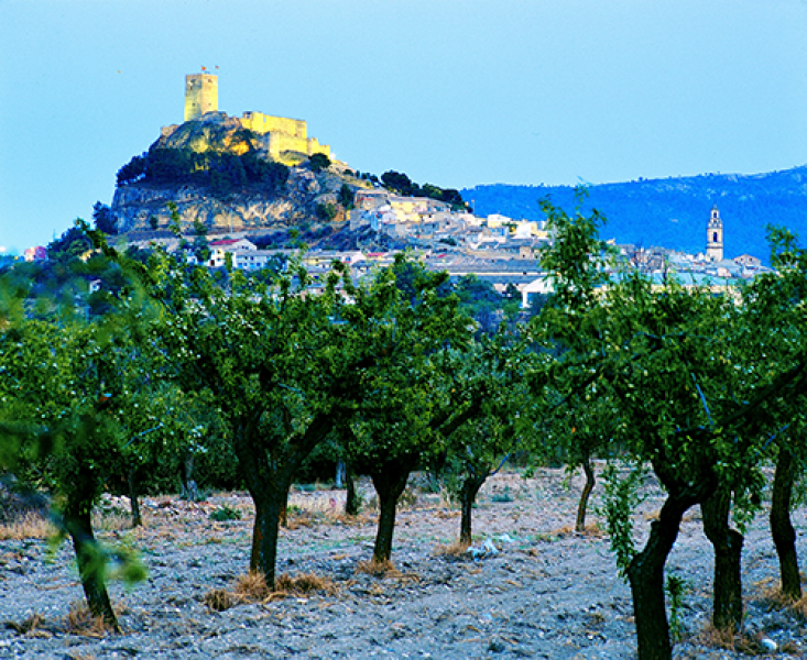 Alicante Biar