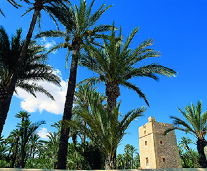 AlicanteElche