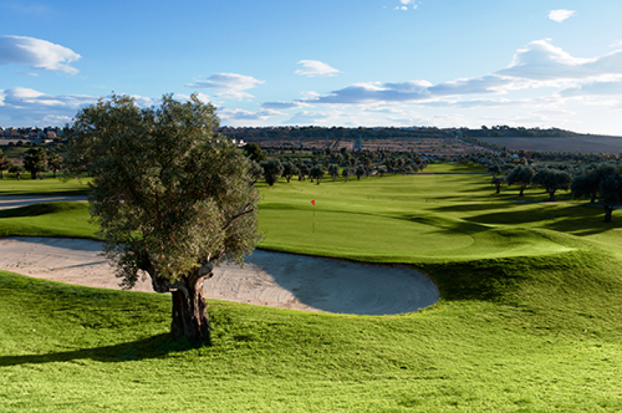 La Finca Golf Hoyo 9