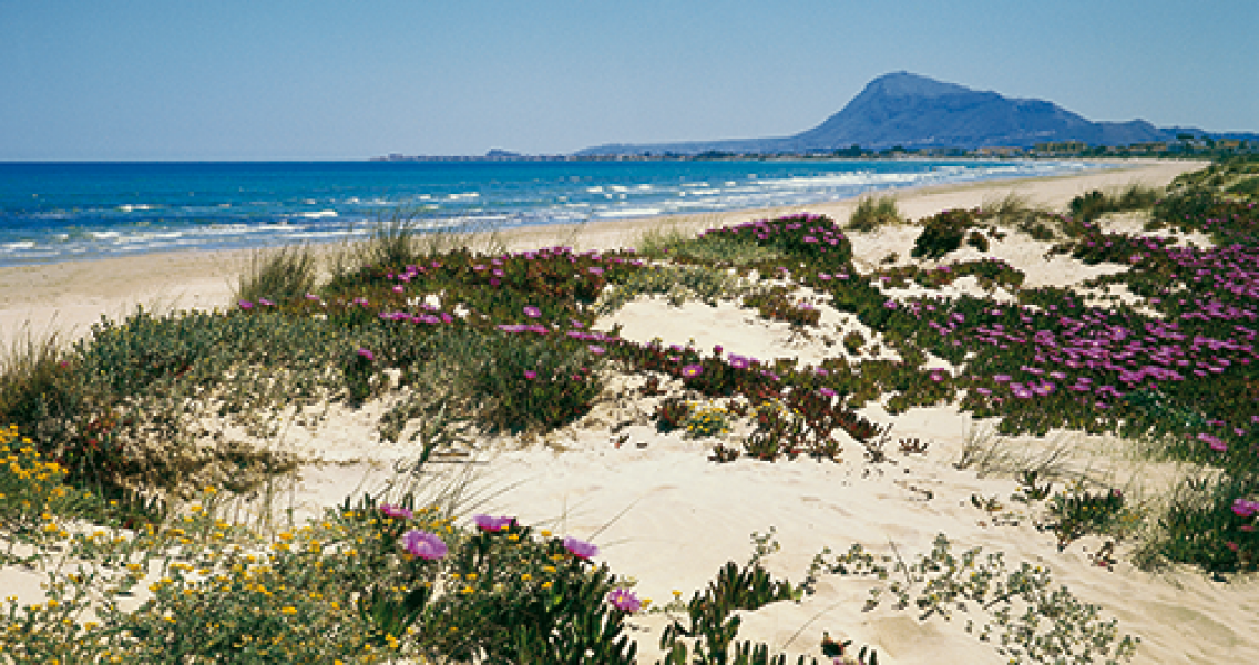 La Sella Golf