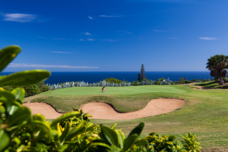 TECINAGOLF2