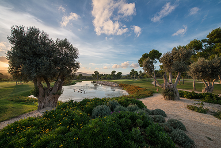 Golf Son Servera Club de Golf Son Servera 2