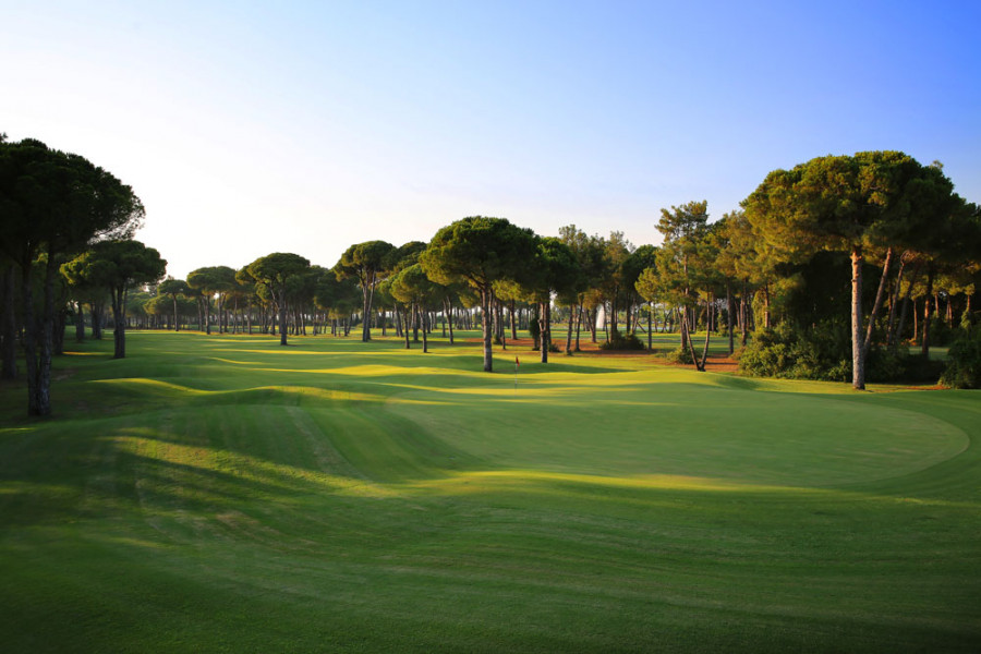 GloriaOldCourse25 GolfClub H