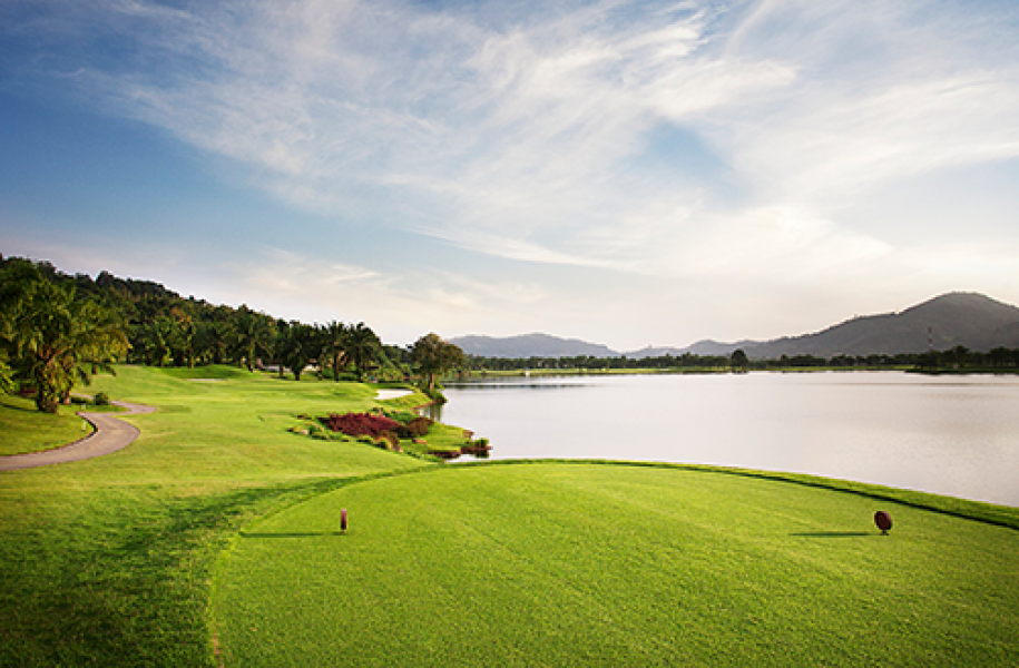 Loch Palm 2