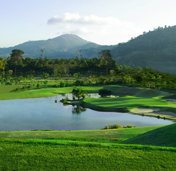Loch Palm 4