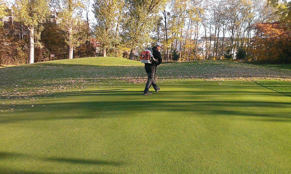 Bild 1 Golfartikel