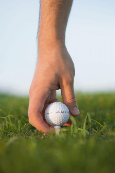 EUR Golf Detail 3