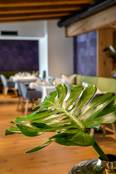 high res derbaer 0720 4050