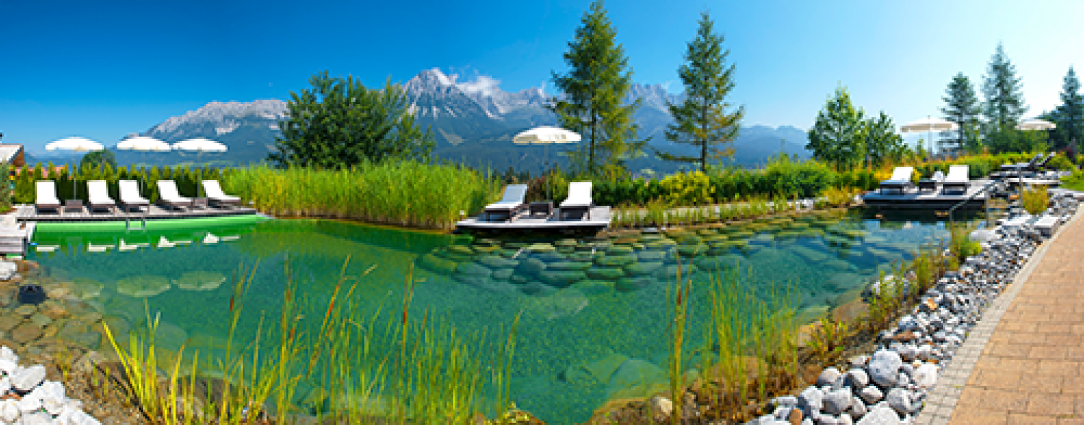 Biologischer Schwimmteich2