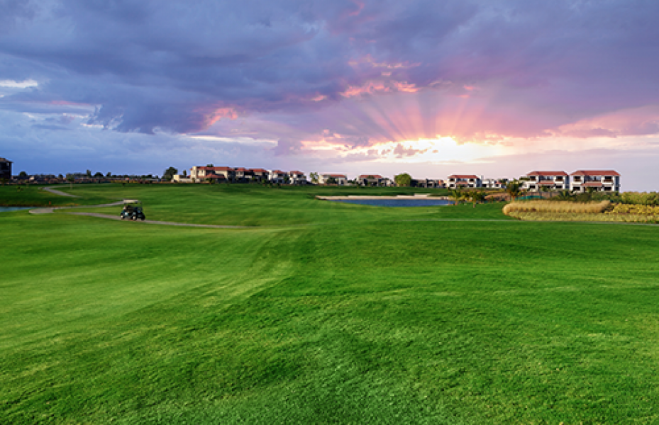 Kalhaar Ahemdabad HOLE 8 2