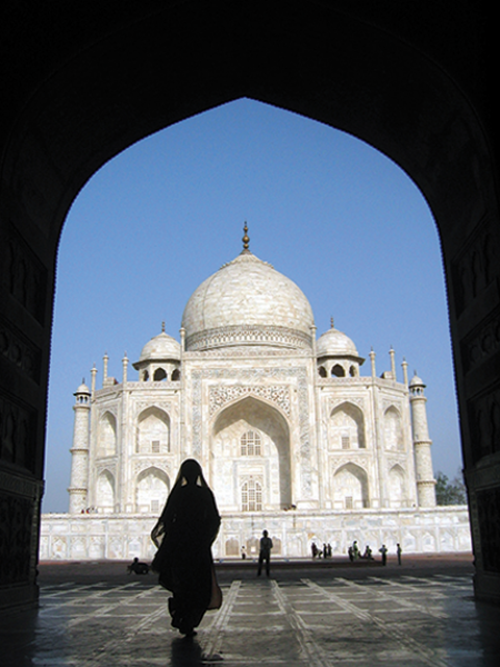 Taj Mahal Agra 6