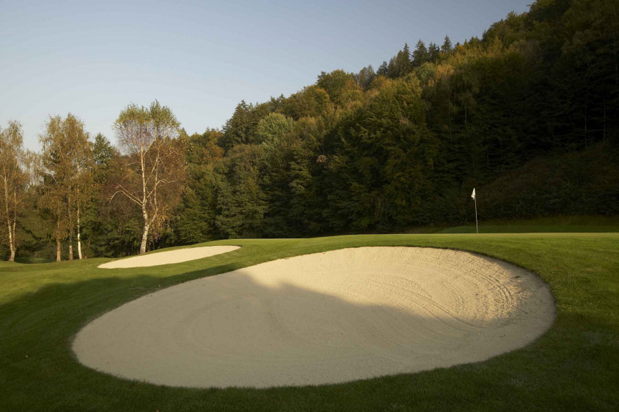 AUSTRIA BATCH 3 006216