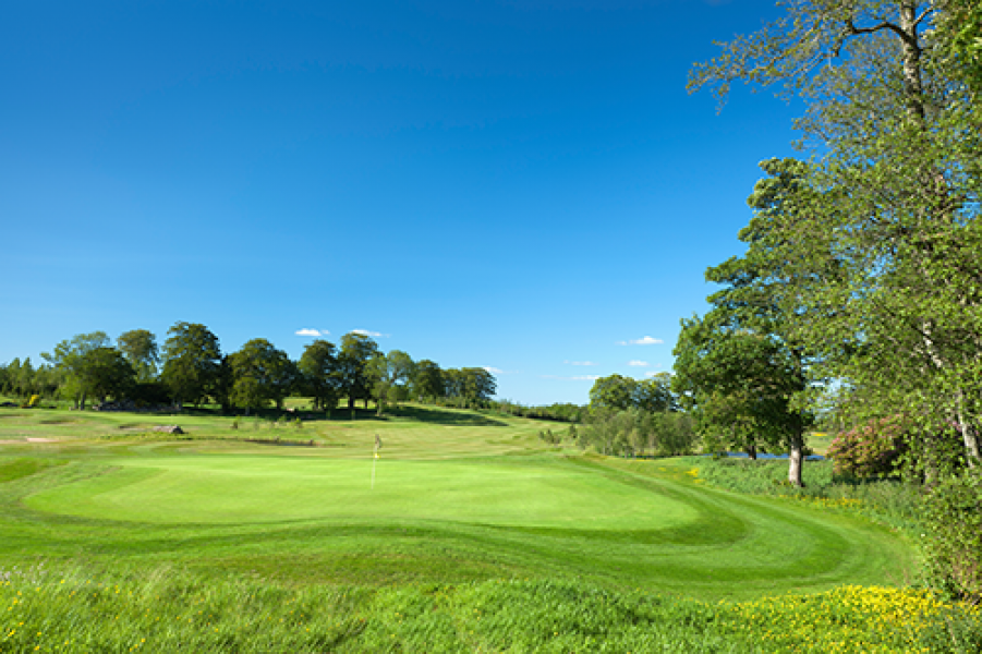 Golf Course 9th9