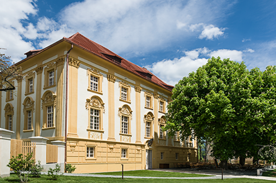 Philip Platzer Hofwirt 2