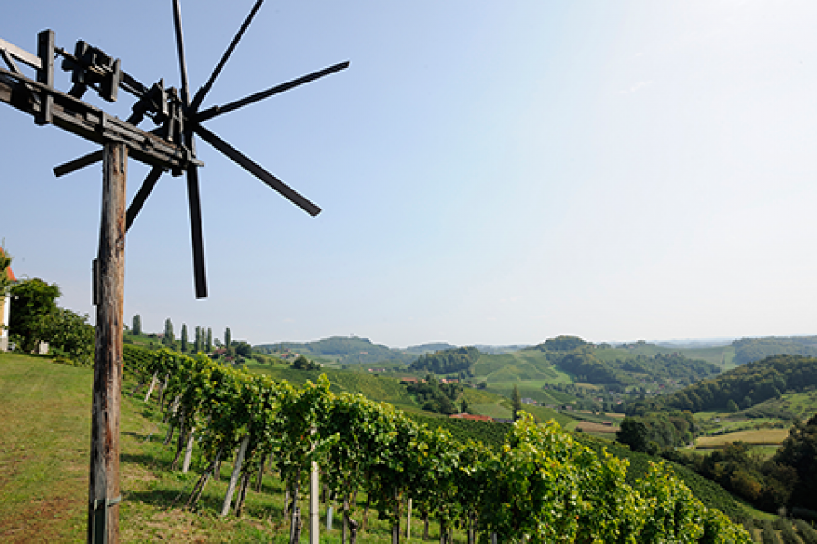 Wein c PURESLeben