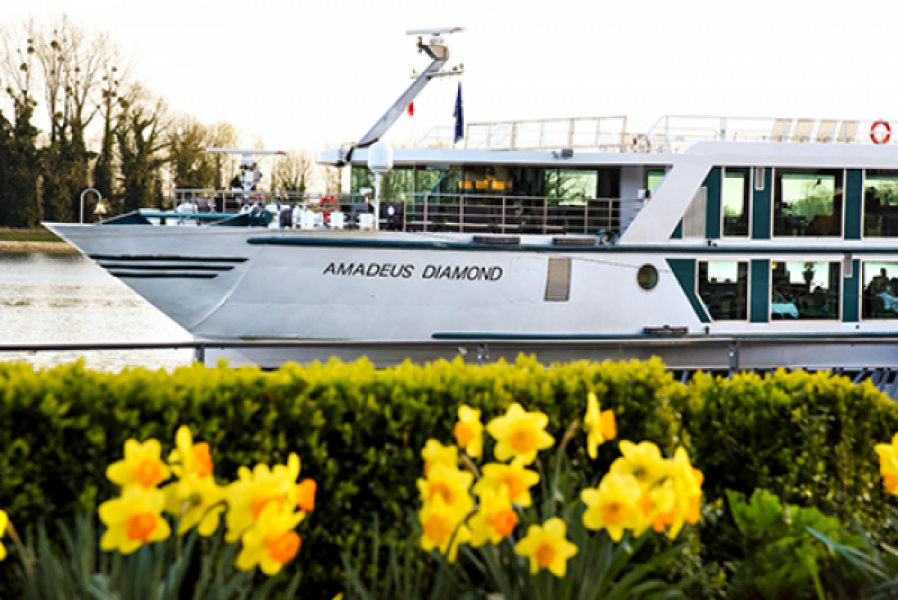 1 AMADEUS Diamond