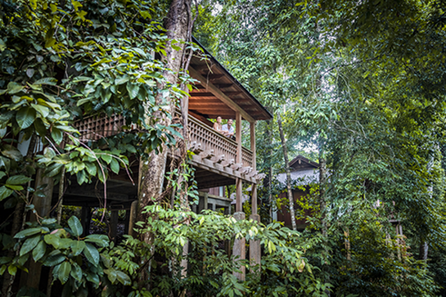 TDL Rainforest Villa 4