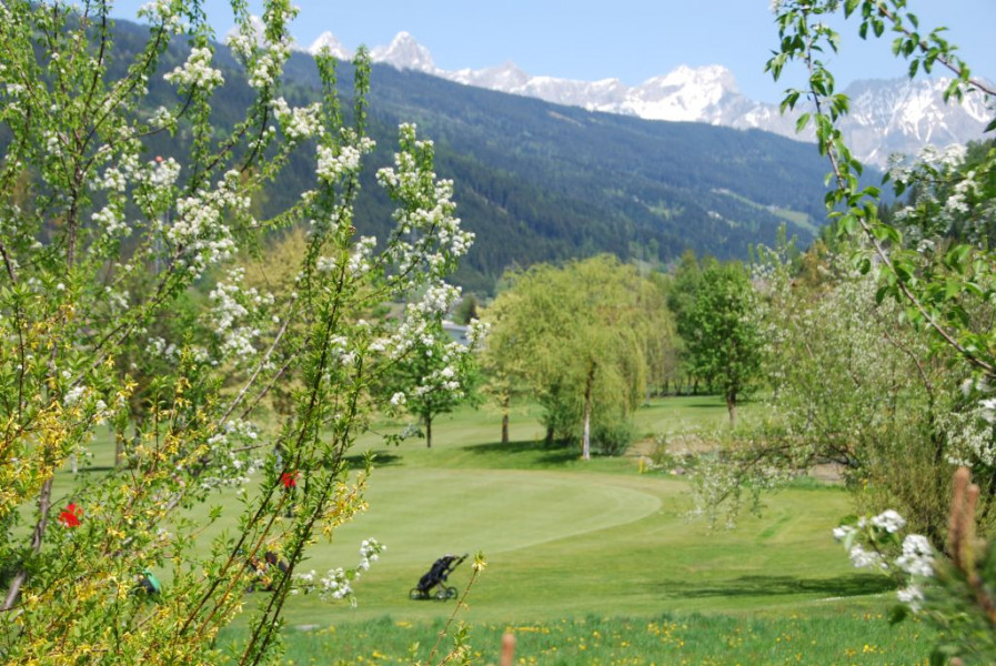 Golf goldene hochzeit 002