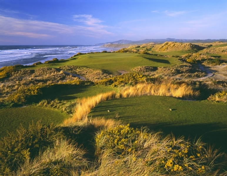 BandDuns6.9 6x8 72DPI