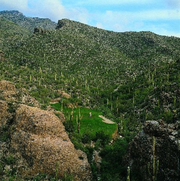 3rd Hole Mountain Course