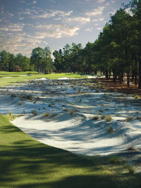 Hole12Pinehurst 710514