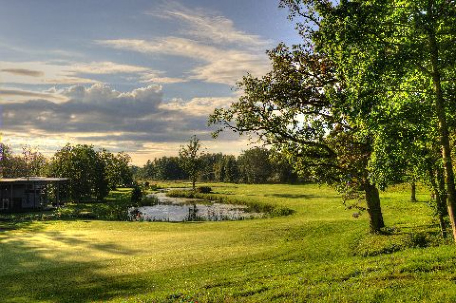 Estonia 13 back high